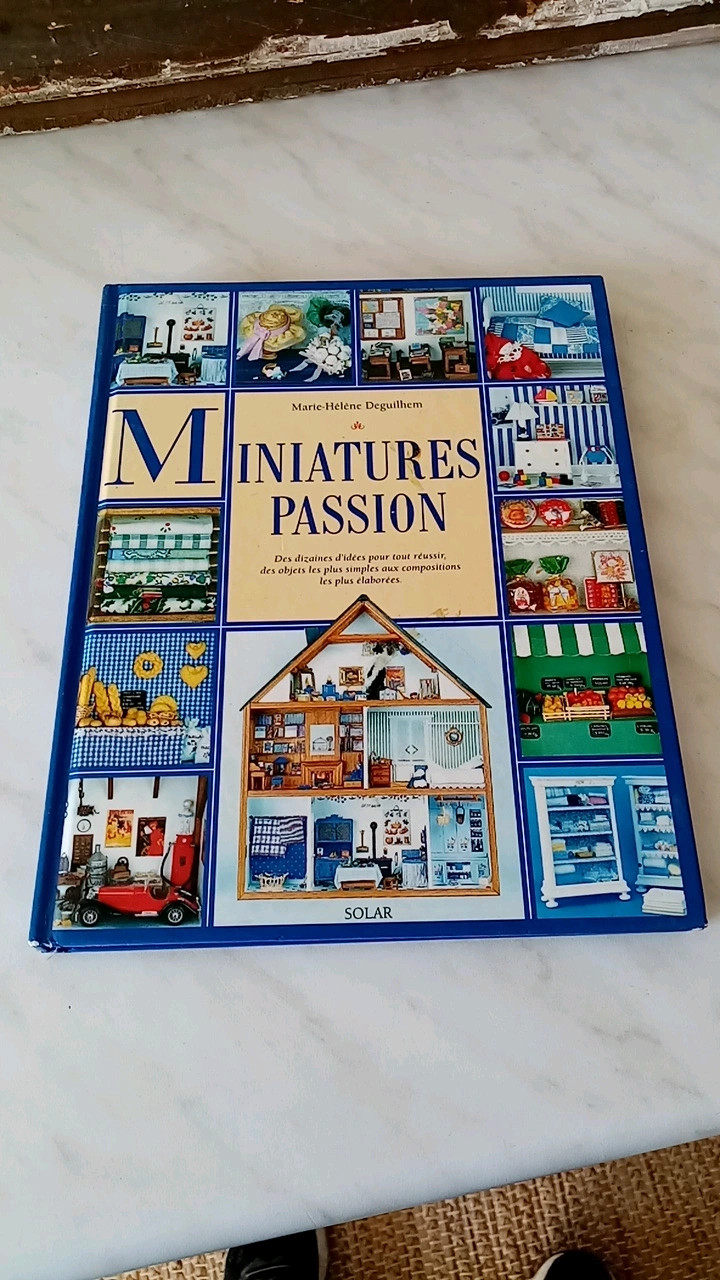 Livre miniatures passion - Vinted