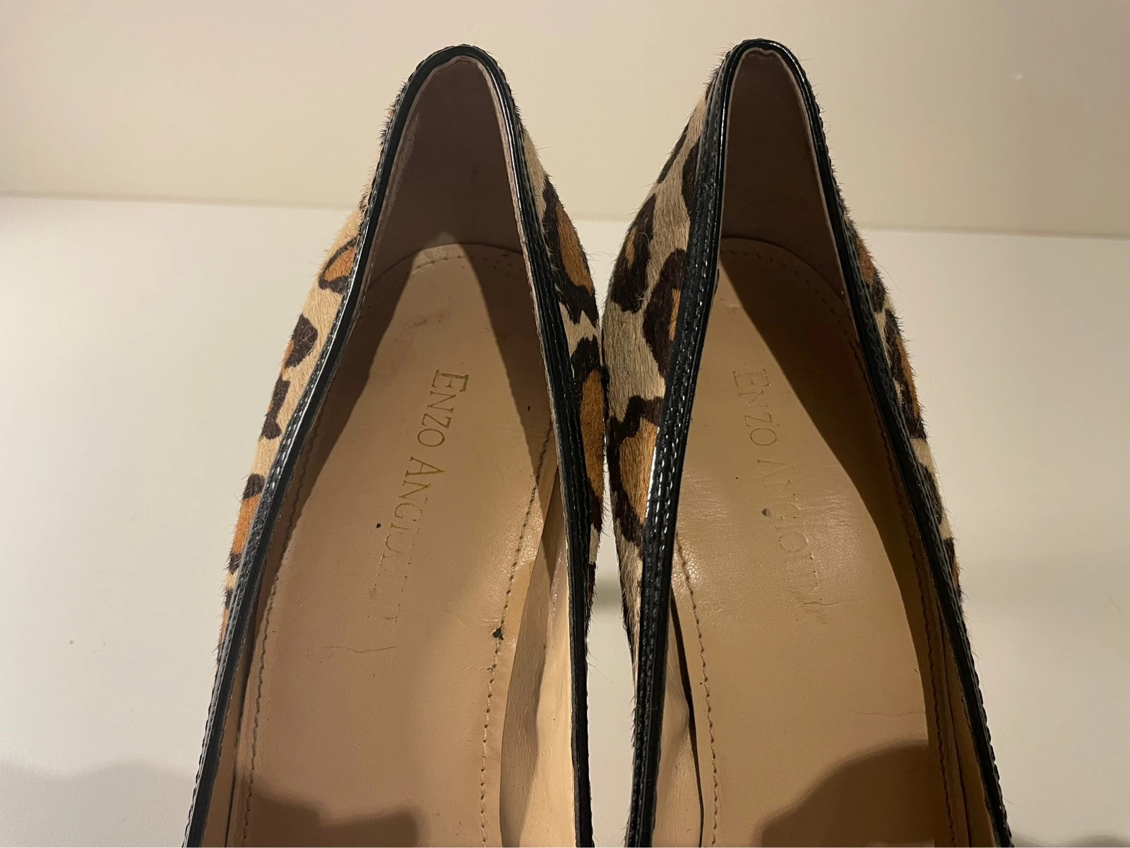 Enzo Angiolini shoes
