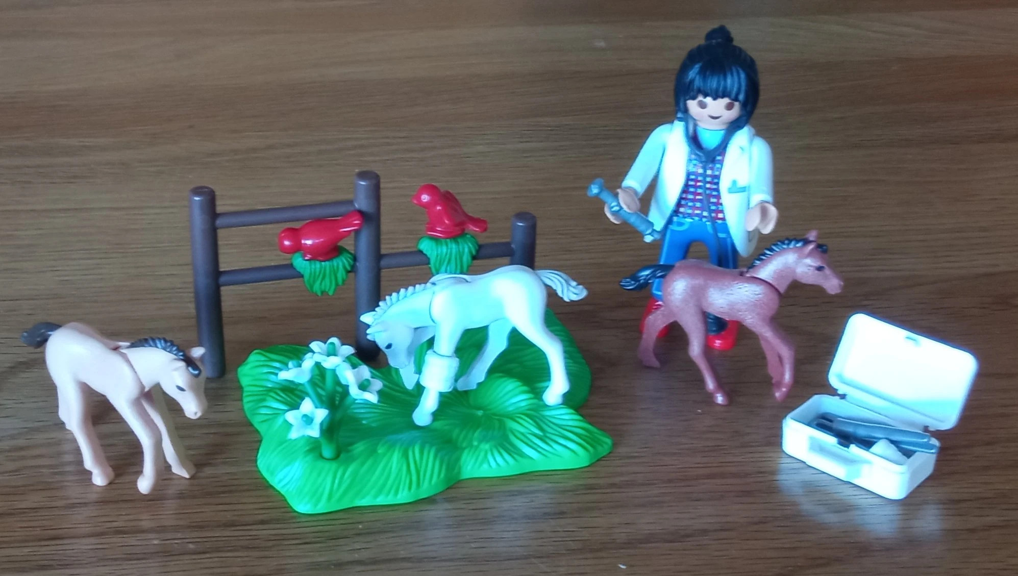 PLAYMOBIL Vétérinaire avec Poney et Poulain 