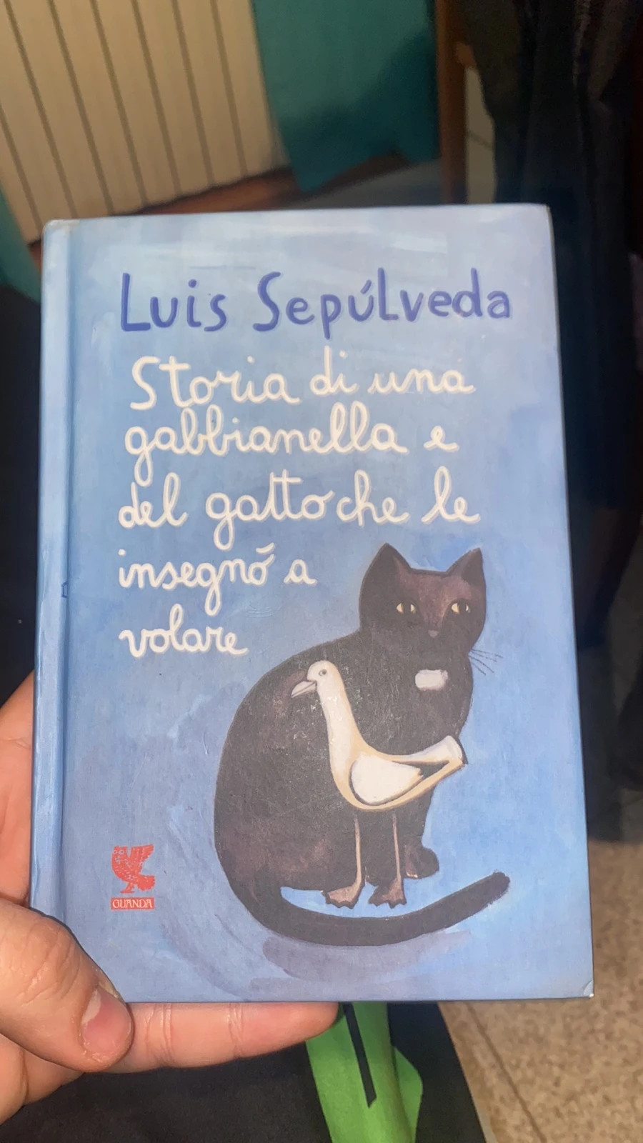 Storia di una gabbianella e del gatto che le insegnò a volare - Guanda