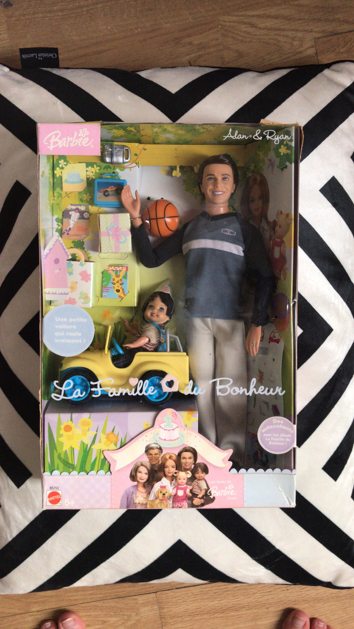 Poupée Barbie la famille du Bonheur Alan et Ryan