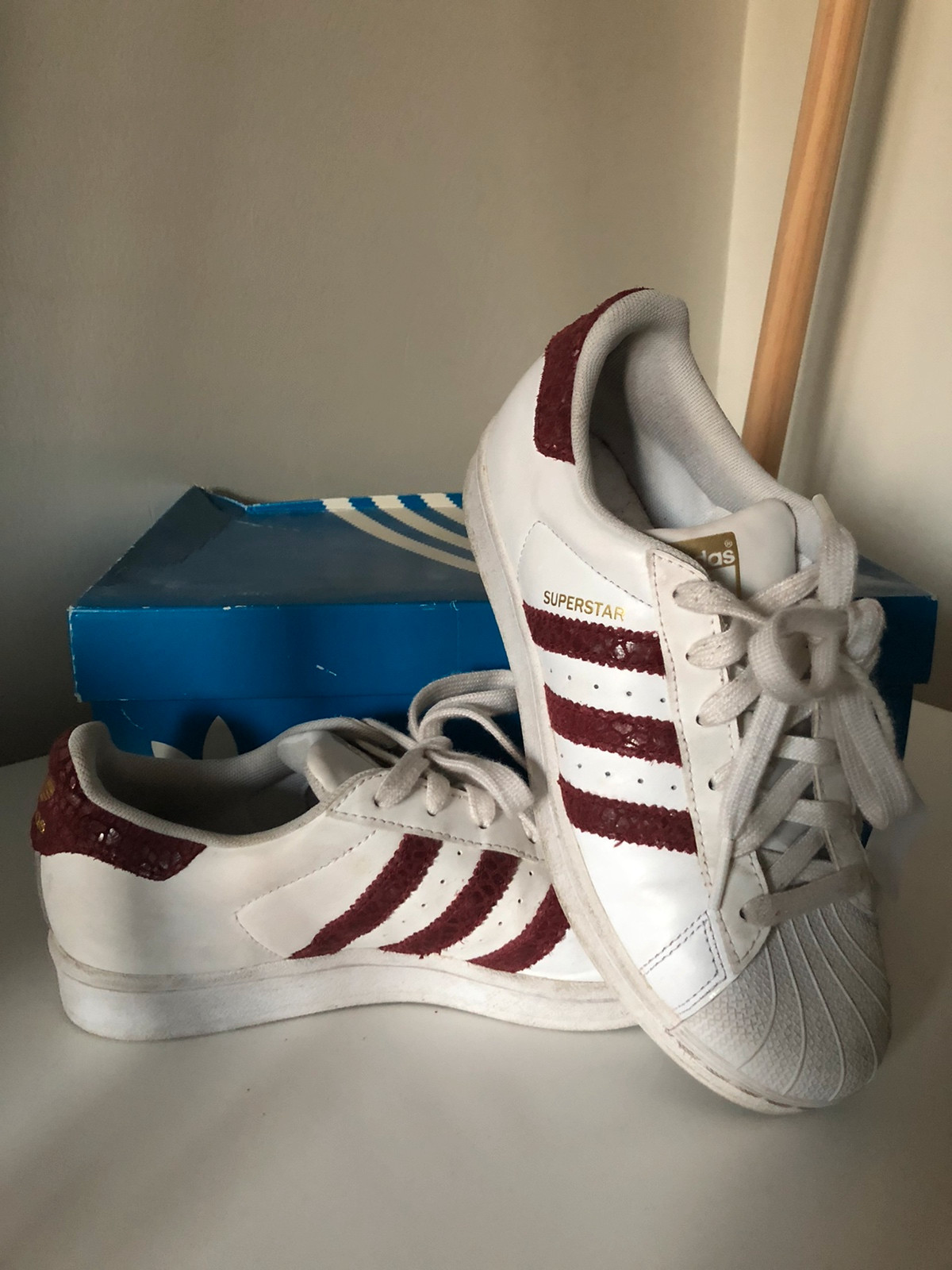 Superstar 2024 python bordeau