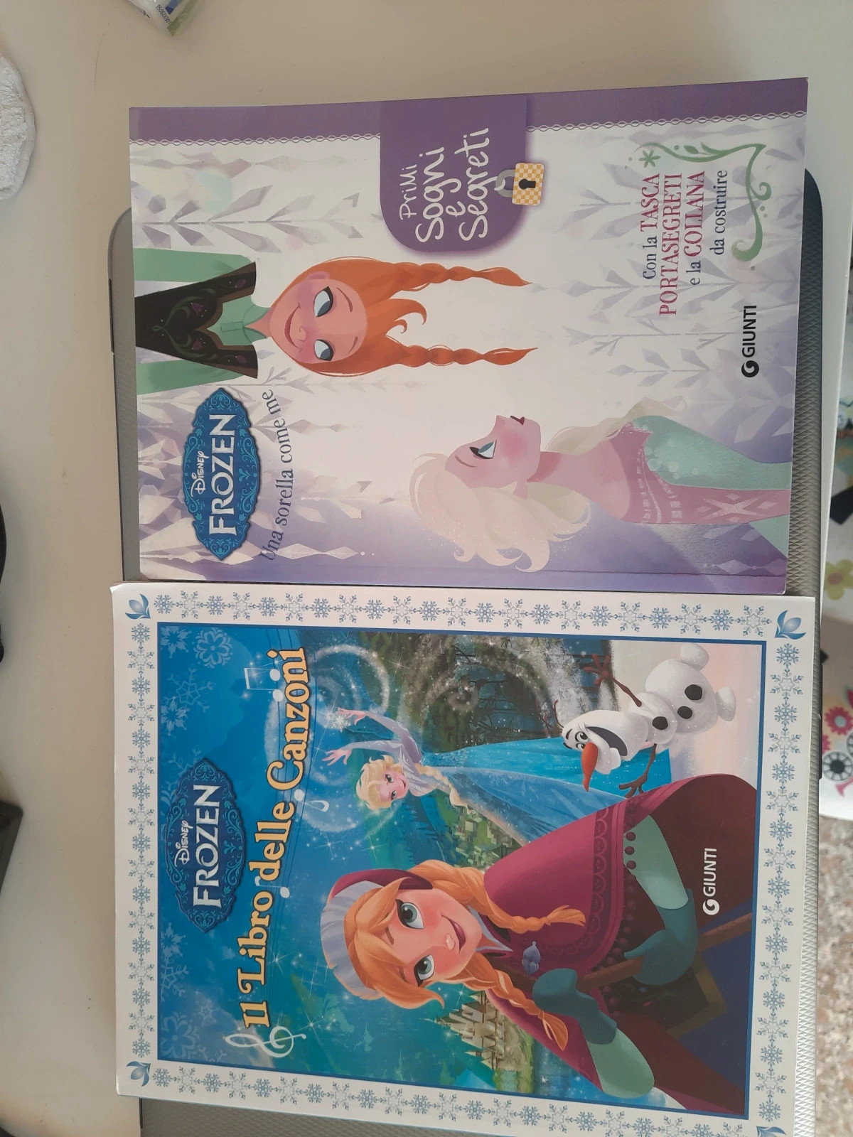 LIBRO IL LIBRO DELL'AMICIZIA TRA SORELLE FROZEN DISNEY GIUNTI