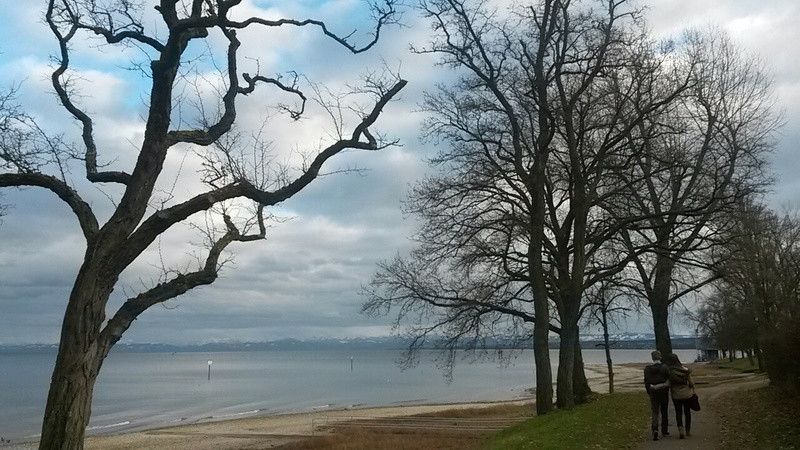 Eqt support adv hot sale 91/16 olive cargo-black-turbo