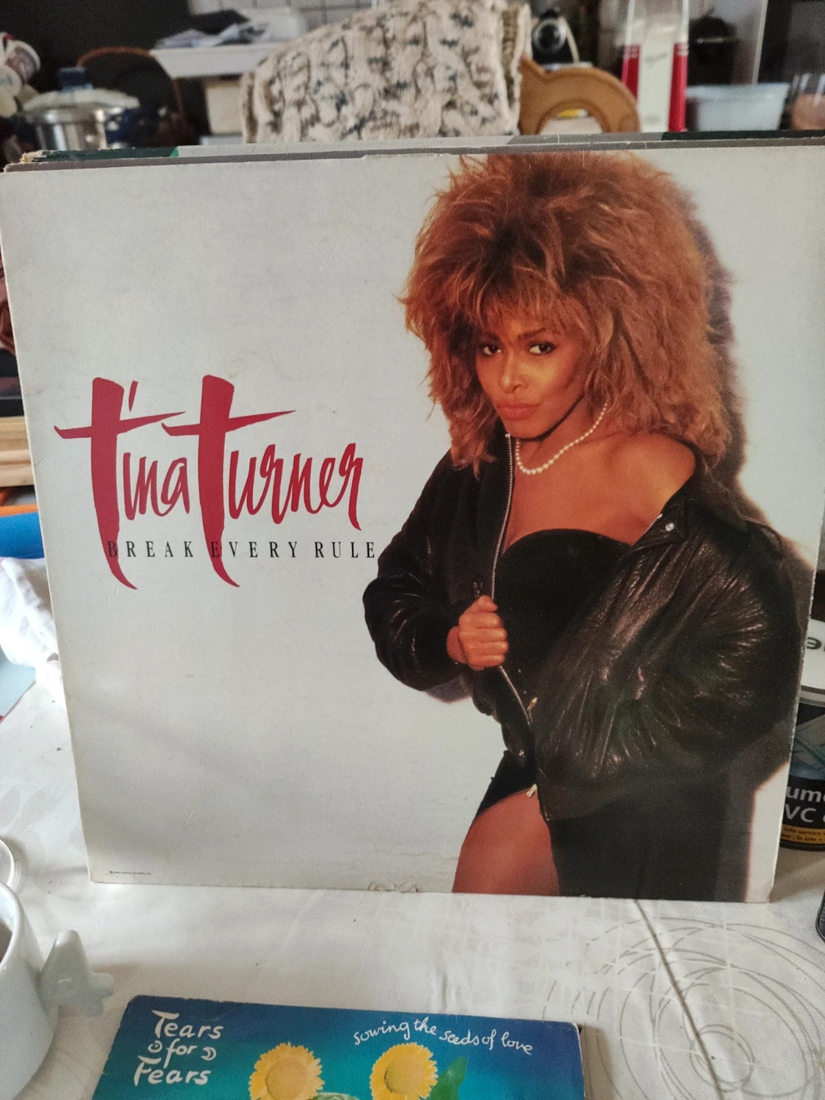 Tina Turner Break Every Rule | Vinted