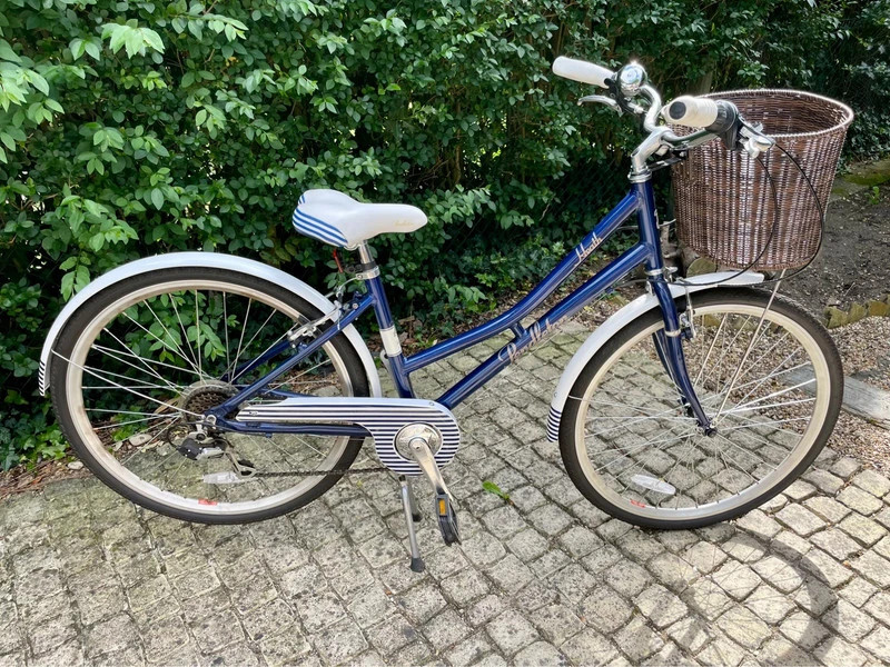 Girls pendleton sales bike