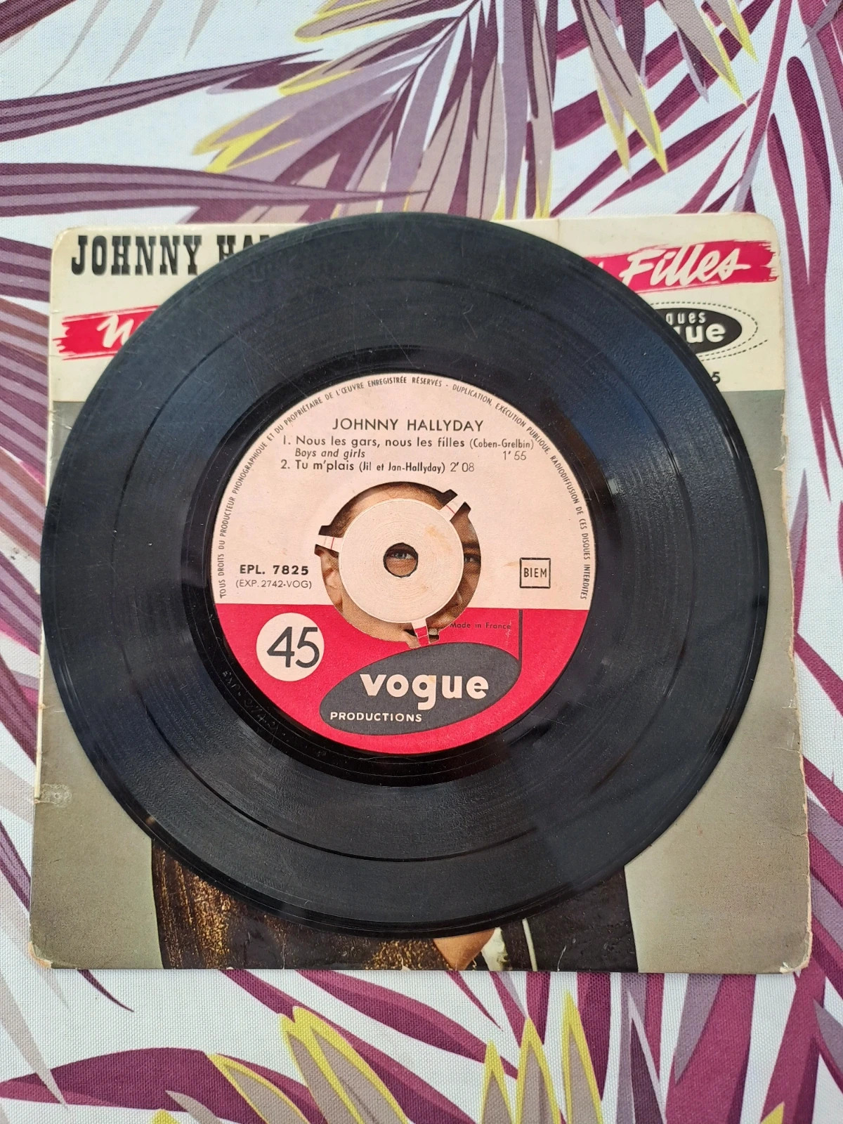 ② Johnny Hallyday, vinyle  Nous les gars, nous les filles  — Vinyles
