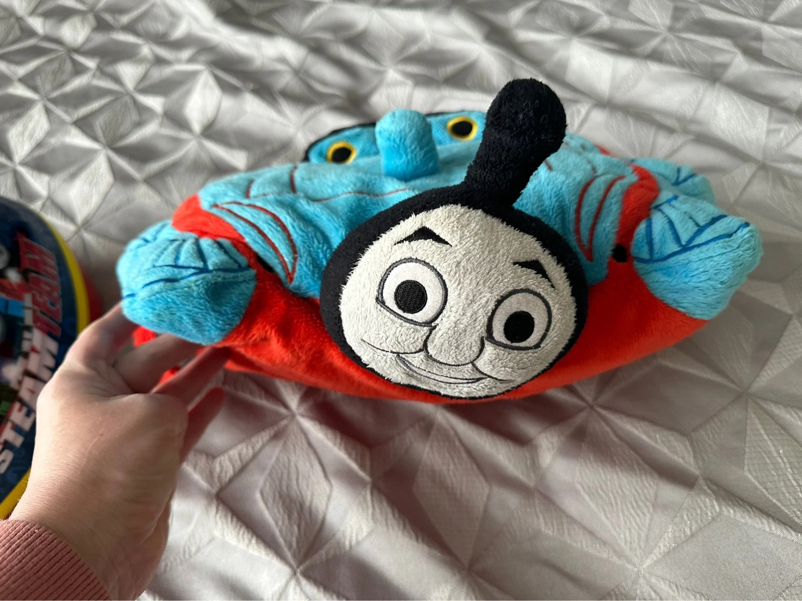 Pillow deals pets thomas