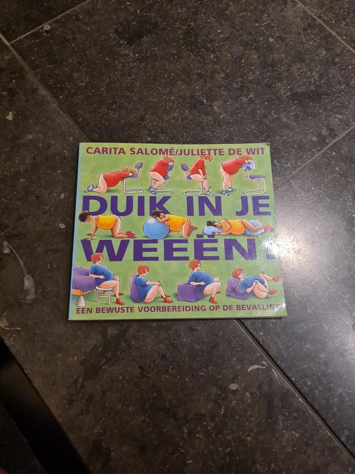 Boek Duik in je wee n Vinted