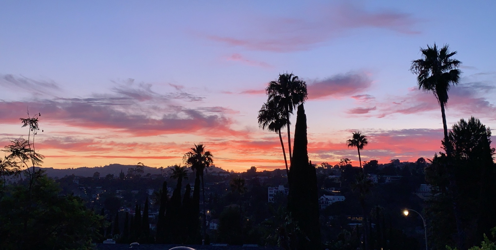 Forever 21 x Wilson Hoodie cropped Vinted