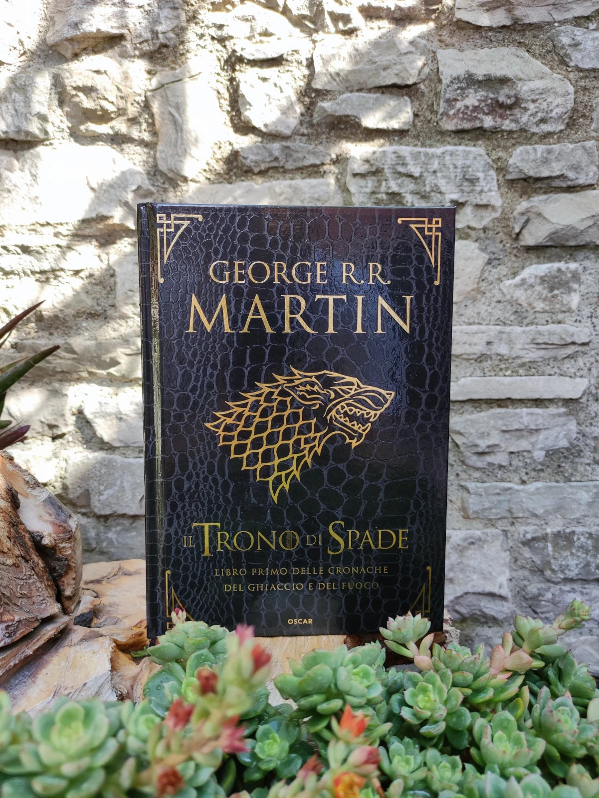 Il Trono di Spade, Libro Primo EdizionePelle di Drago{Vol.1}Game of  Thrones, Un gioco di Troni GOT