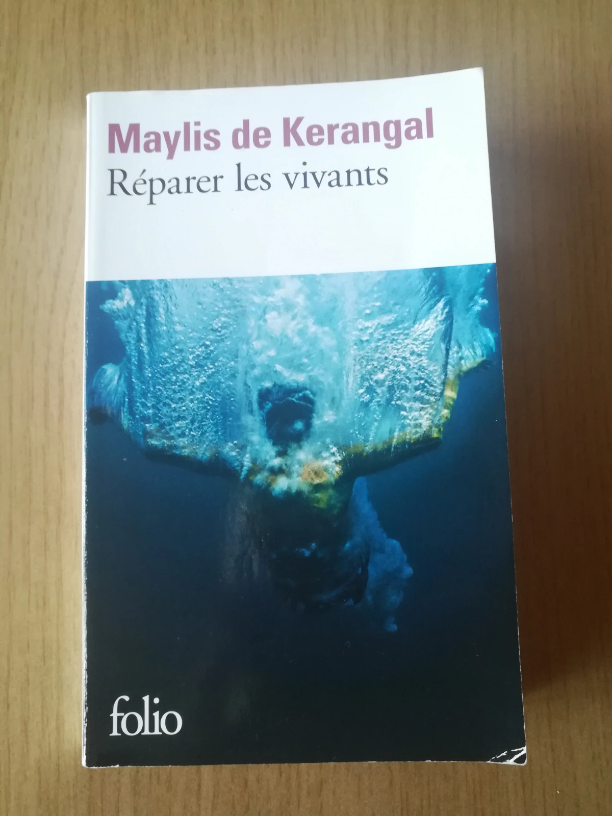 Réparer les vivants, Maylis de Kerangal