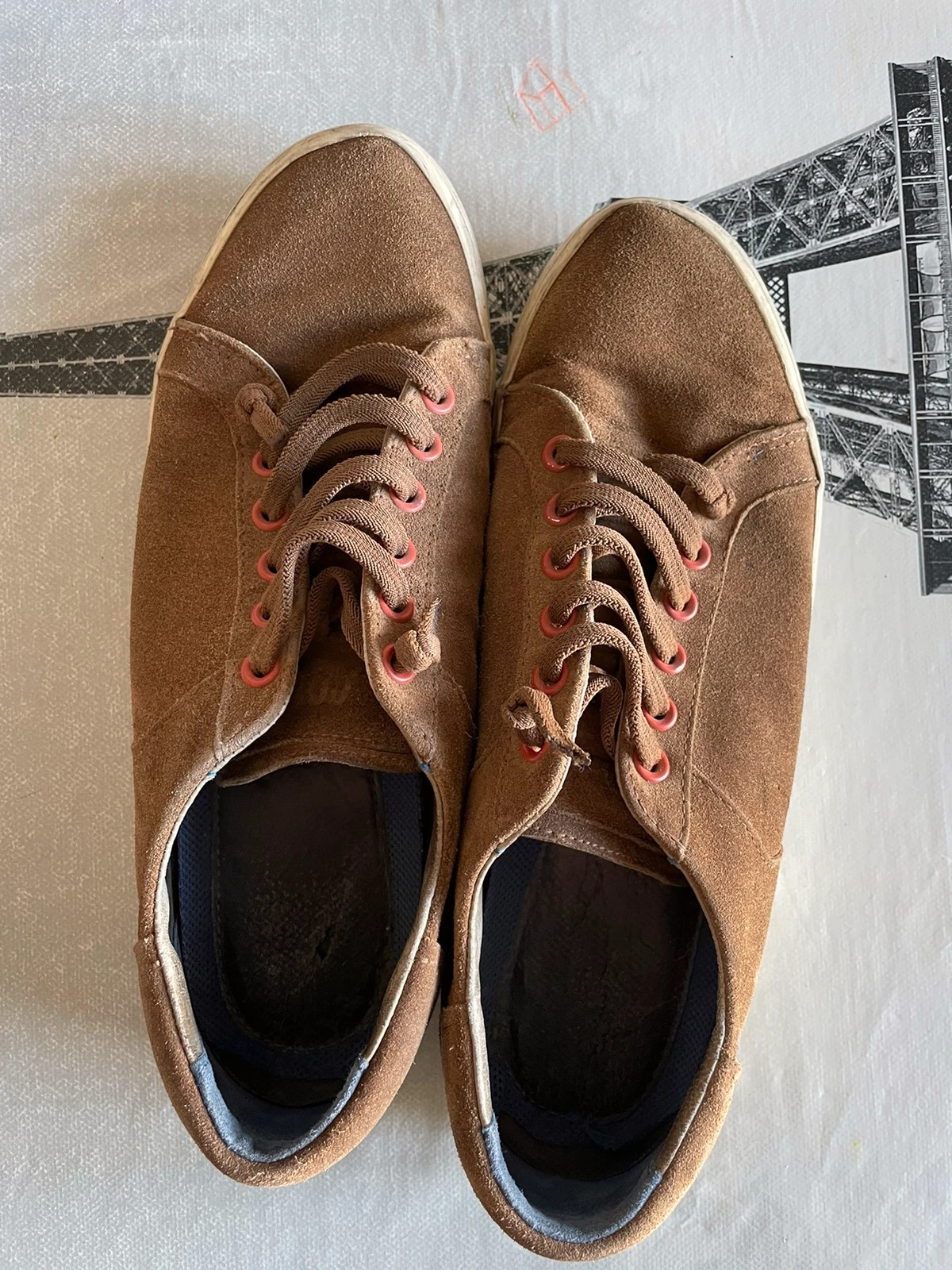 Lacci 2025 elastici camper