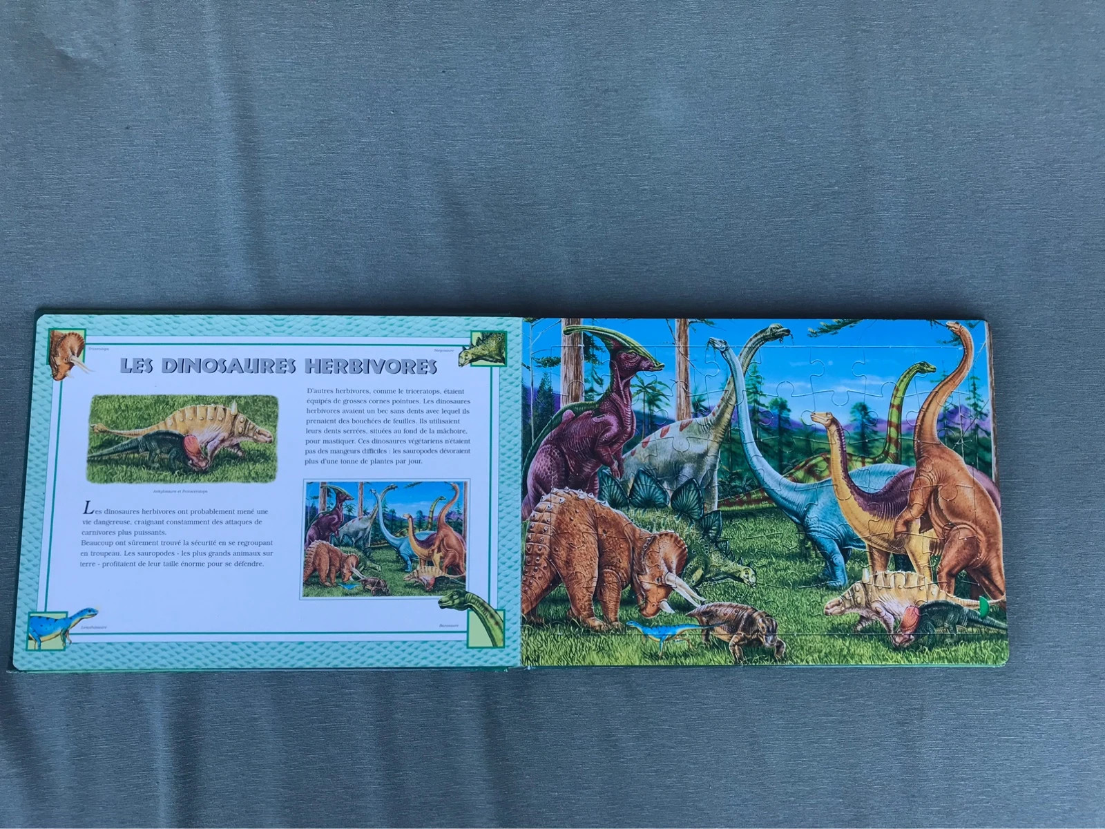livre puzzle dinosaures • Ludopital