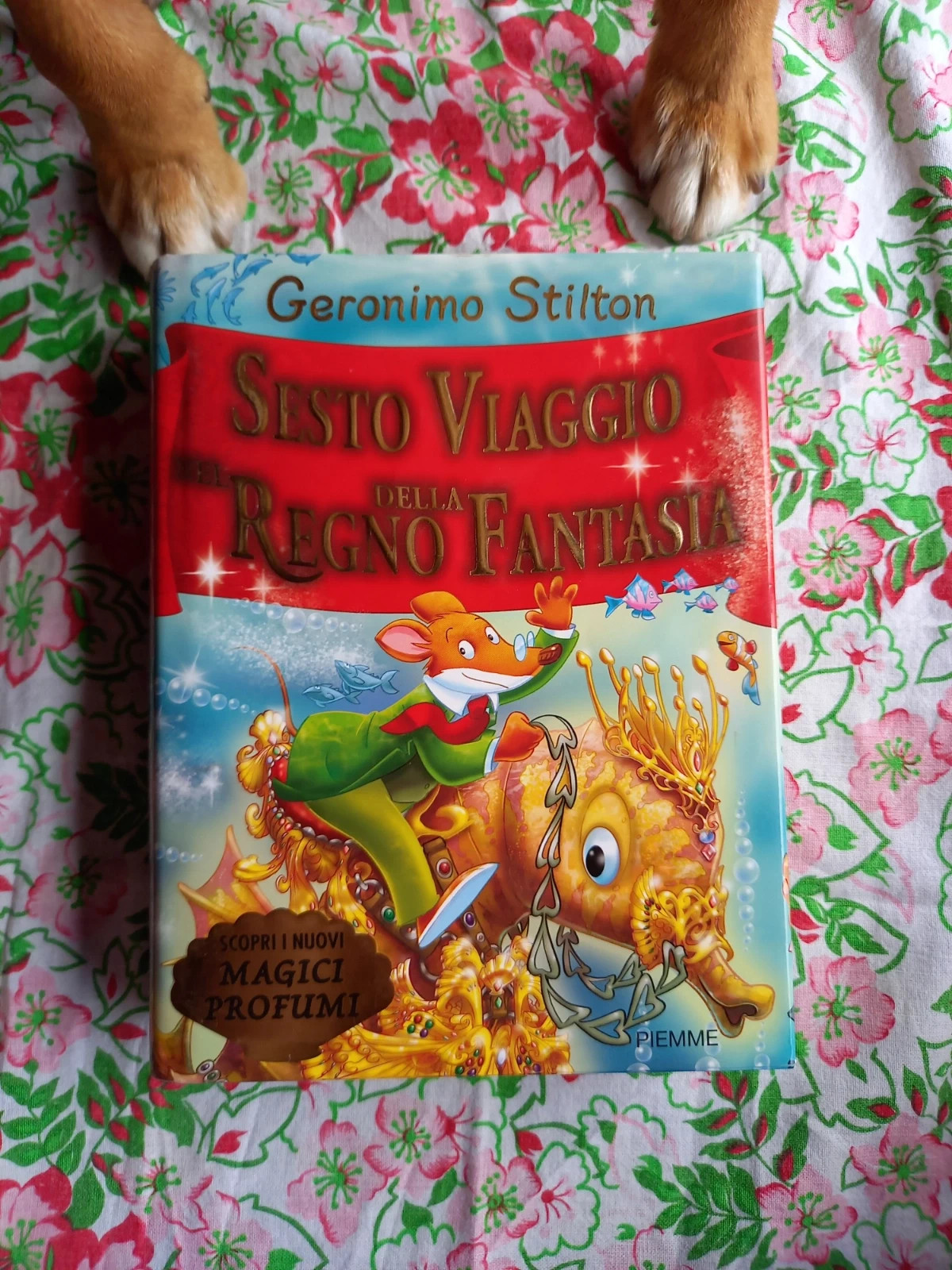 Sesto viaggio nel Regno della Fantasia - Geronimo Stilton - PIEMME