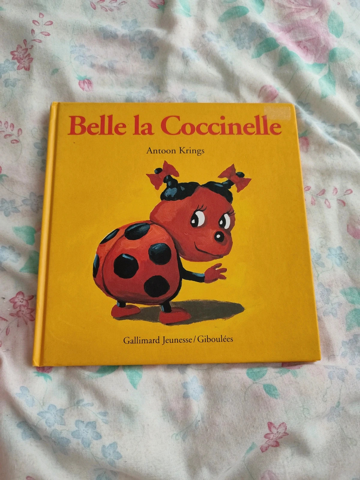 Belle la coccinelle Vinted