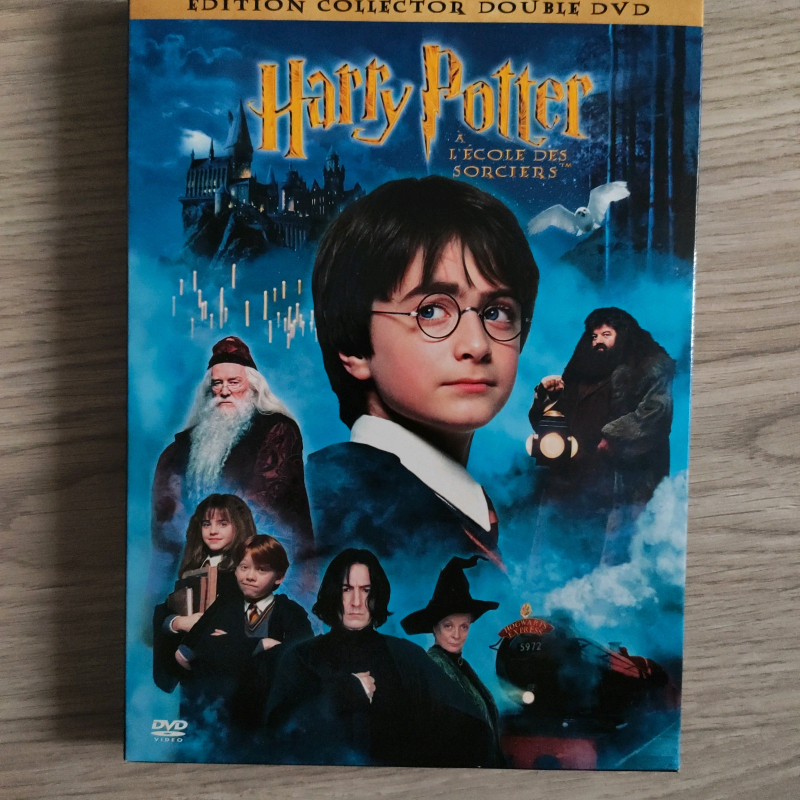 Double DVD Harry Potter à l'école des sorciers - Harry Potter