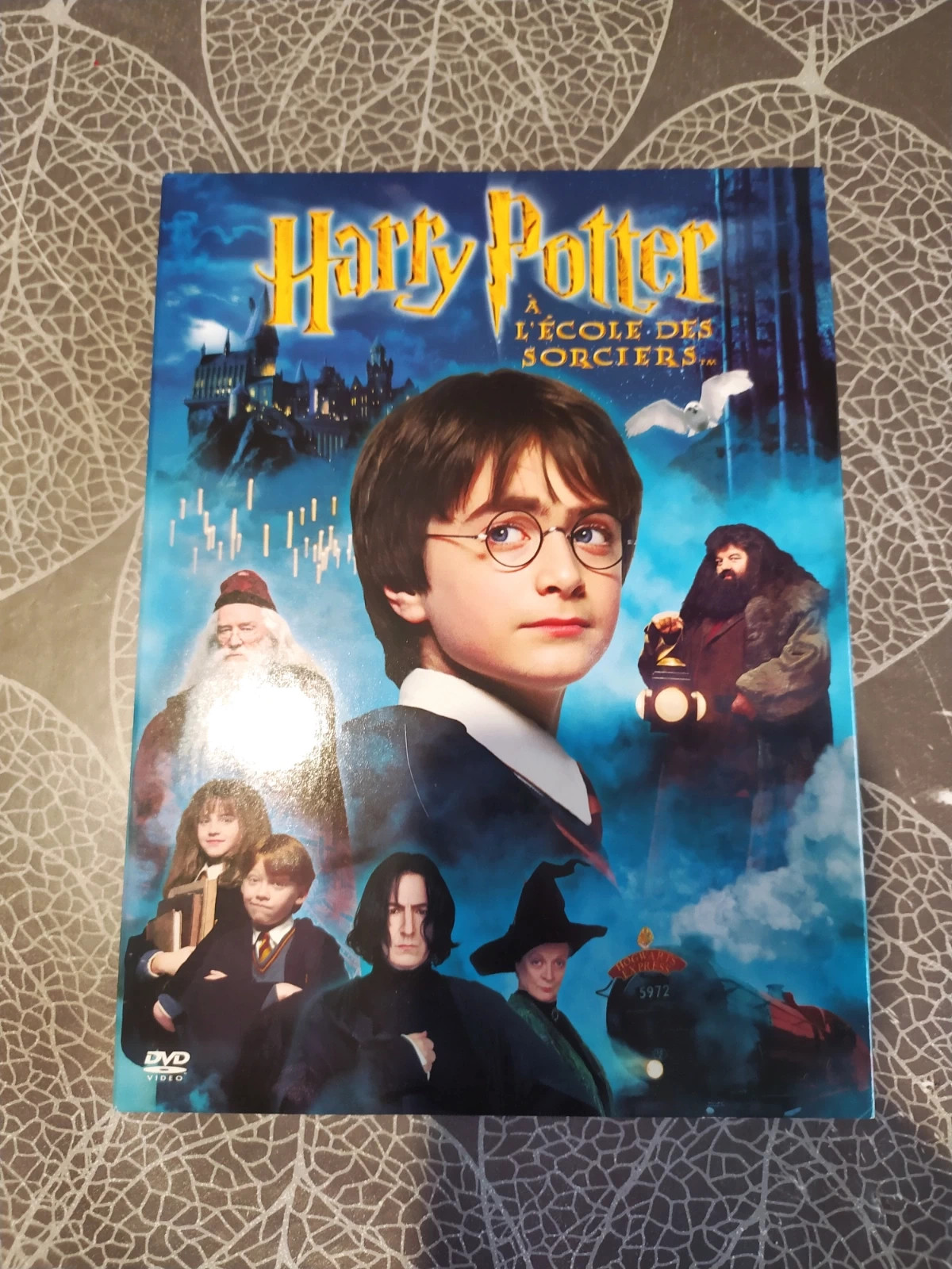 Coffret DVD : Harry Potter à l'école des Sorciers + Les Animaux