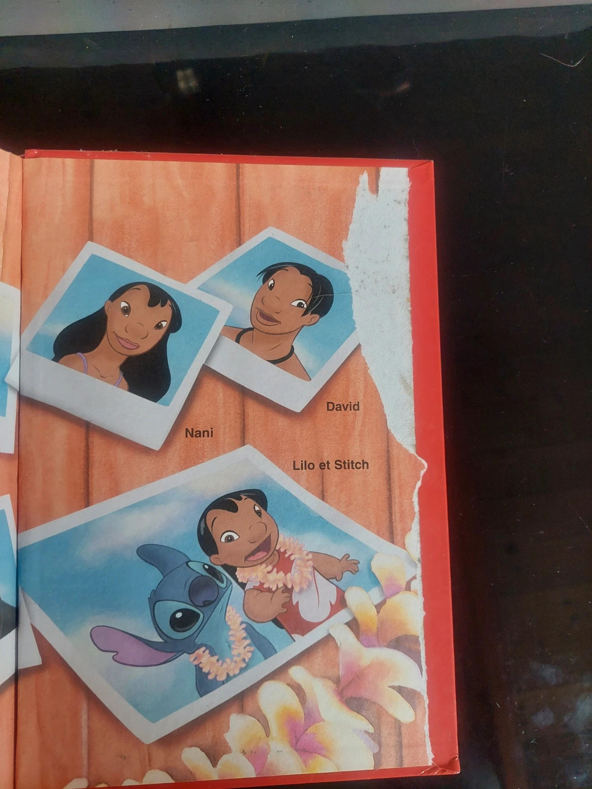 Disney club du livre- Lilo et Stitch