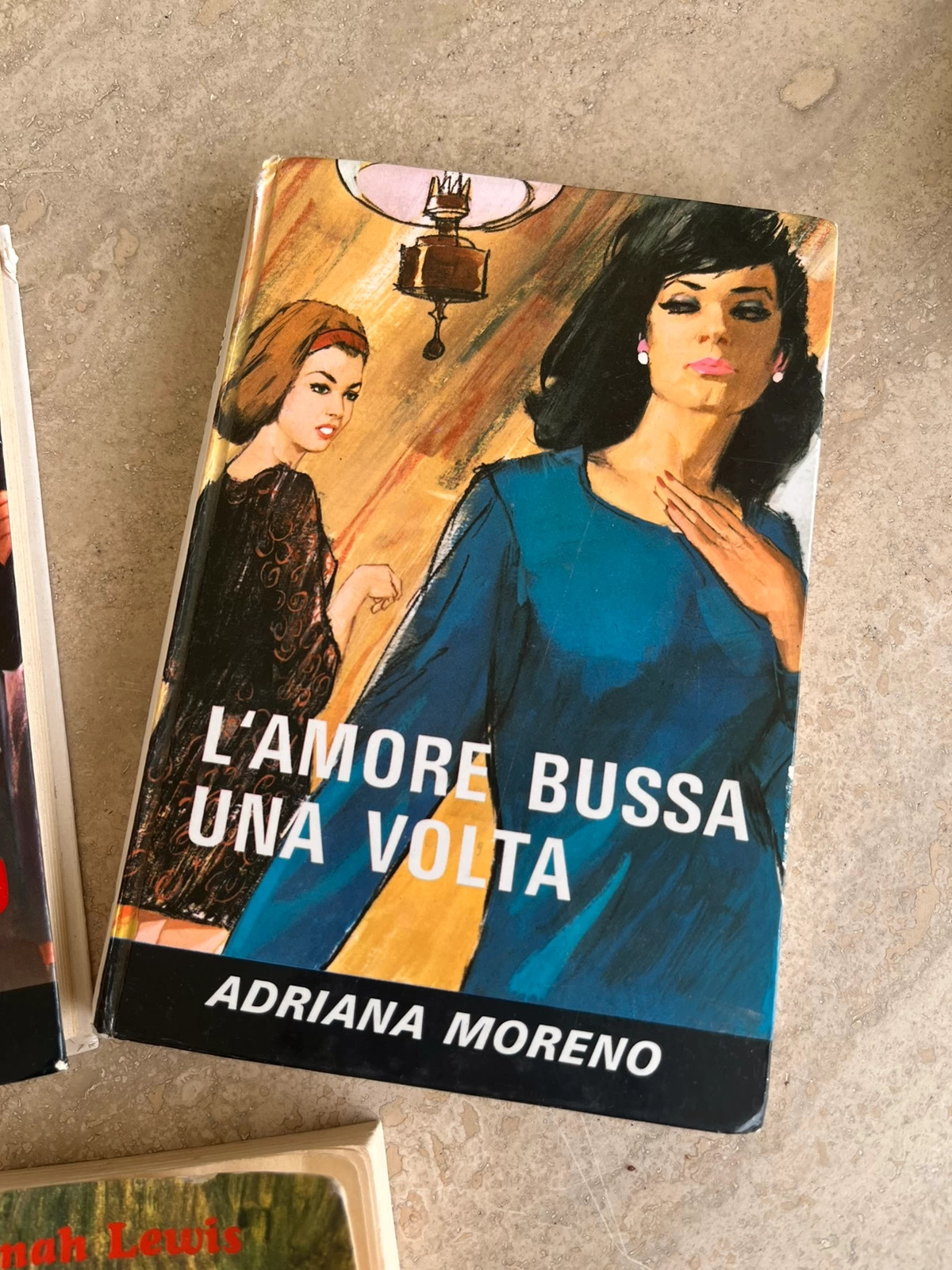 libro cronache di un gatto viaggiatore - Vinted