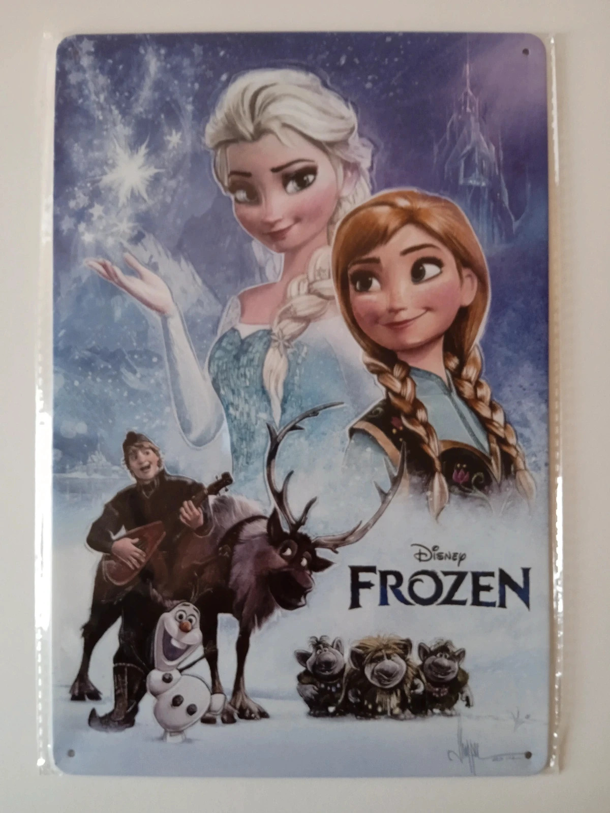 Disney Bolsa de Natación para Niños Frozen El Reino del Hielo