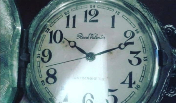 Orologio da 2025 taschino citizen