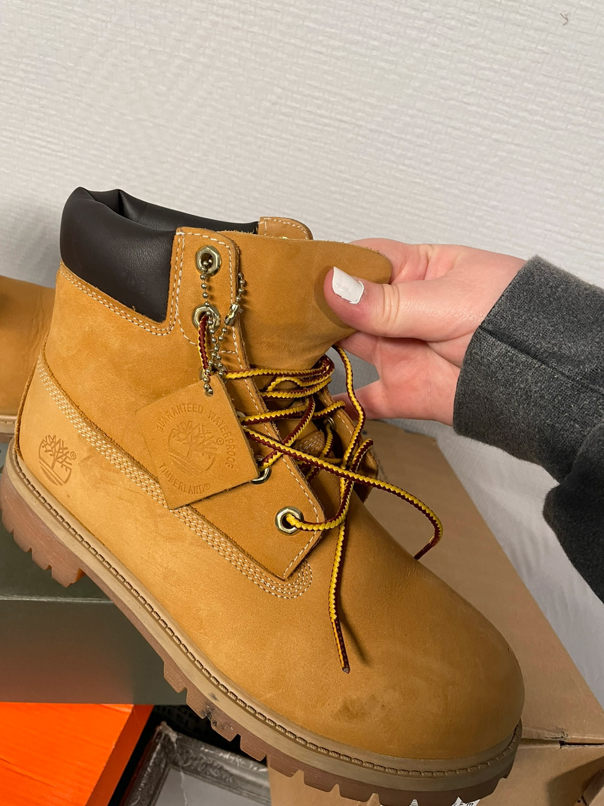 Rangers timberland sales