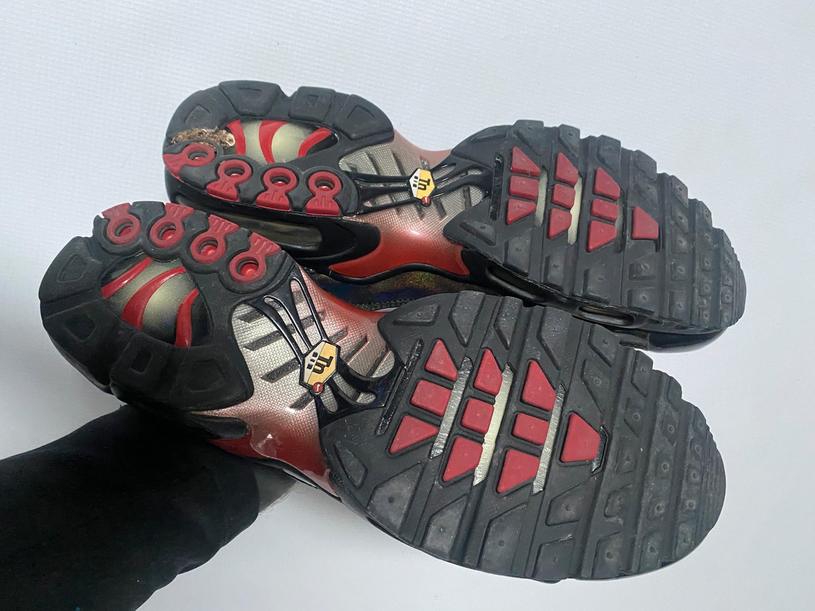 Tn requin discount 2013