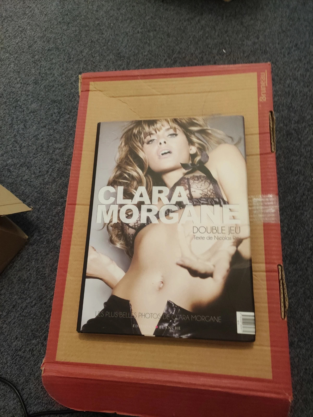 Livre Clara Morgane | Vinted