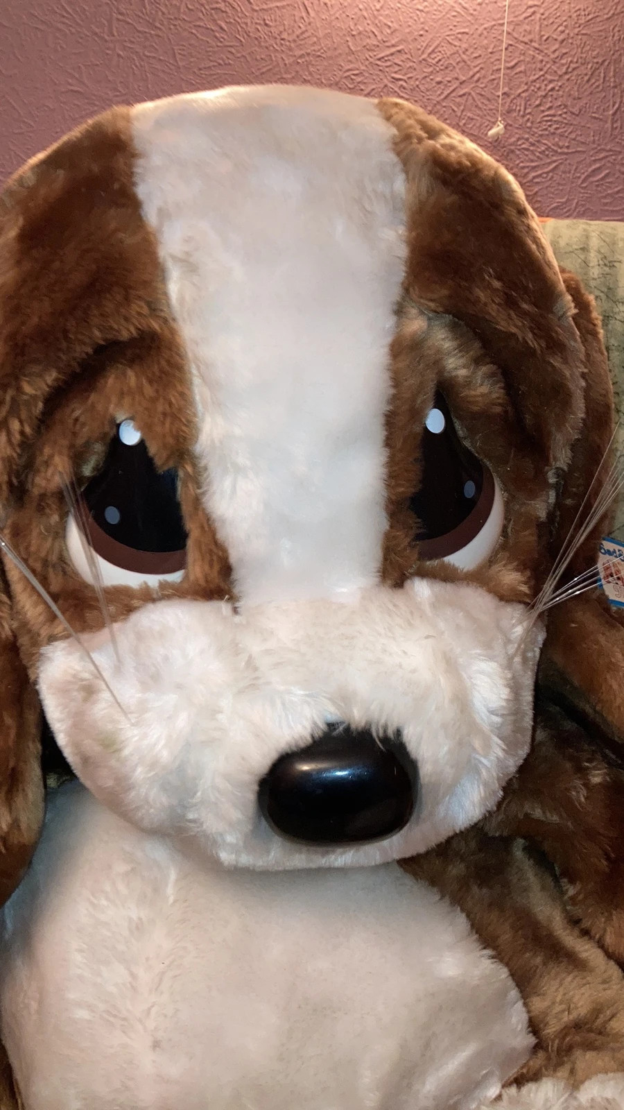 Sad sam 2025 stuffed dog