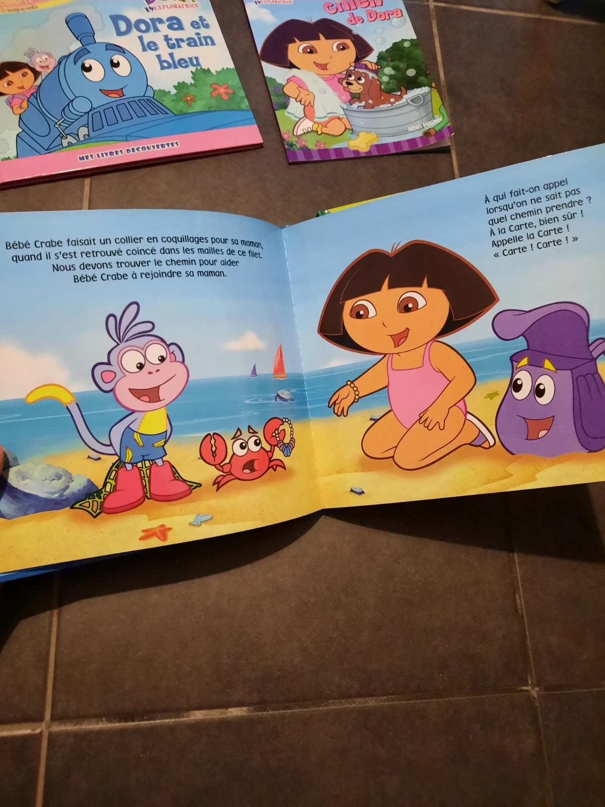 4 livres Dora l exploratrice
