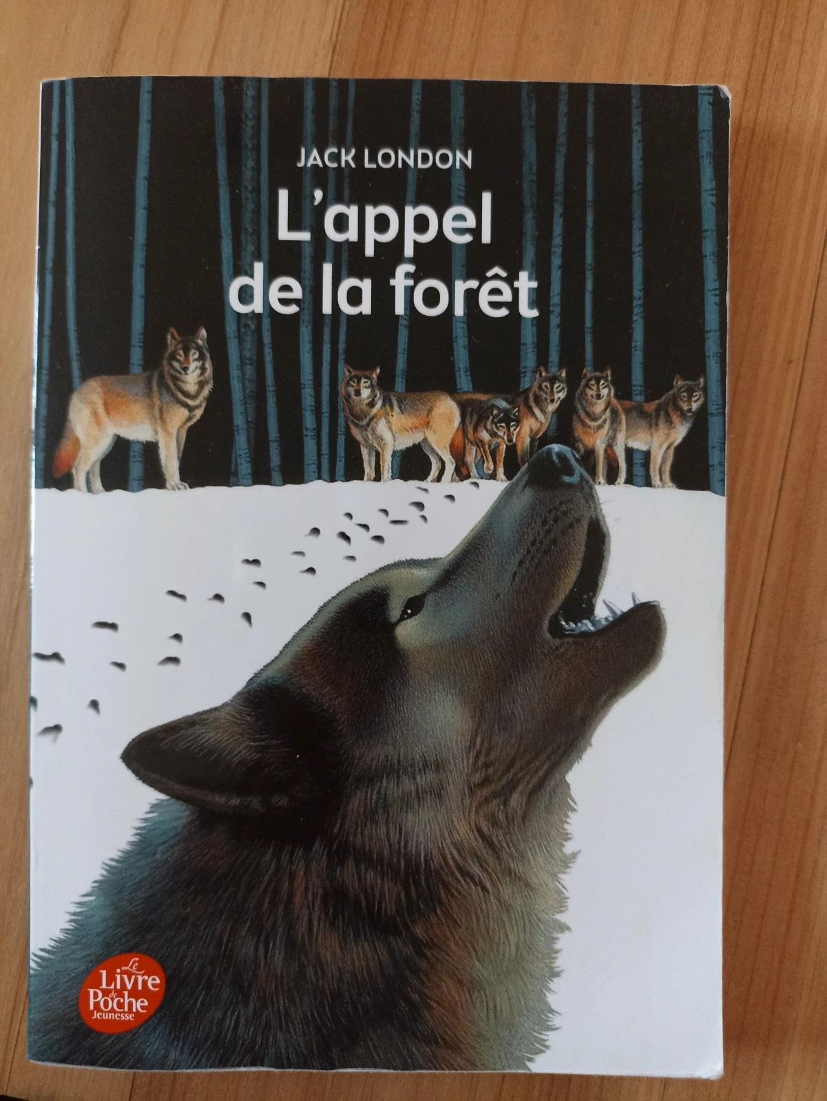 L'appel de la forêt (Folio Junior Textes classiques) (French Edition)