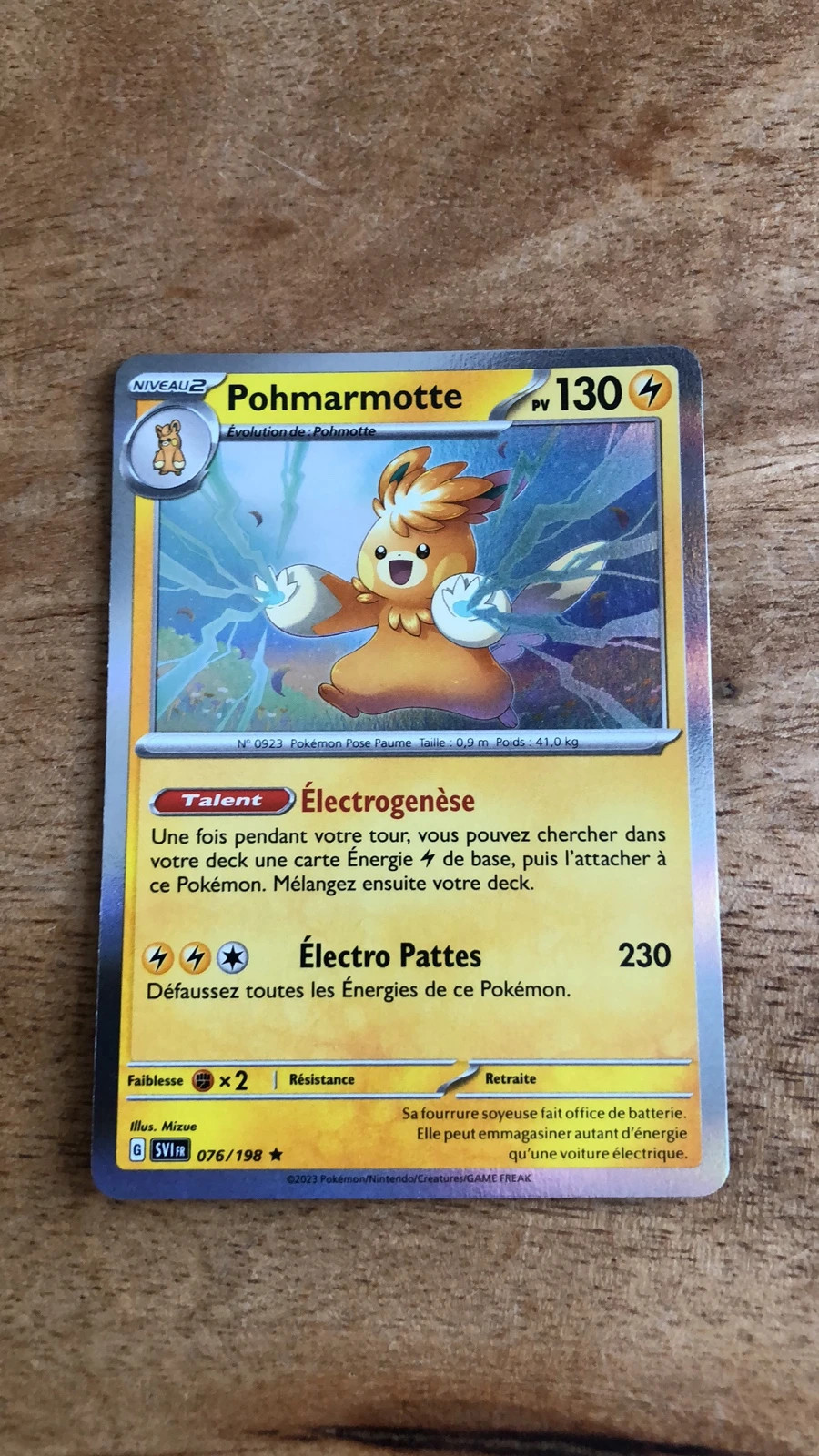 FR] Pokémon Carte EV01 076/198 Pohmarmotte HOLO