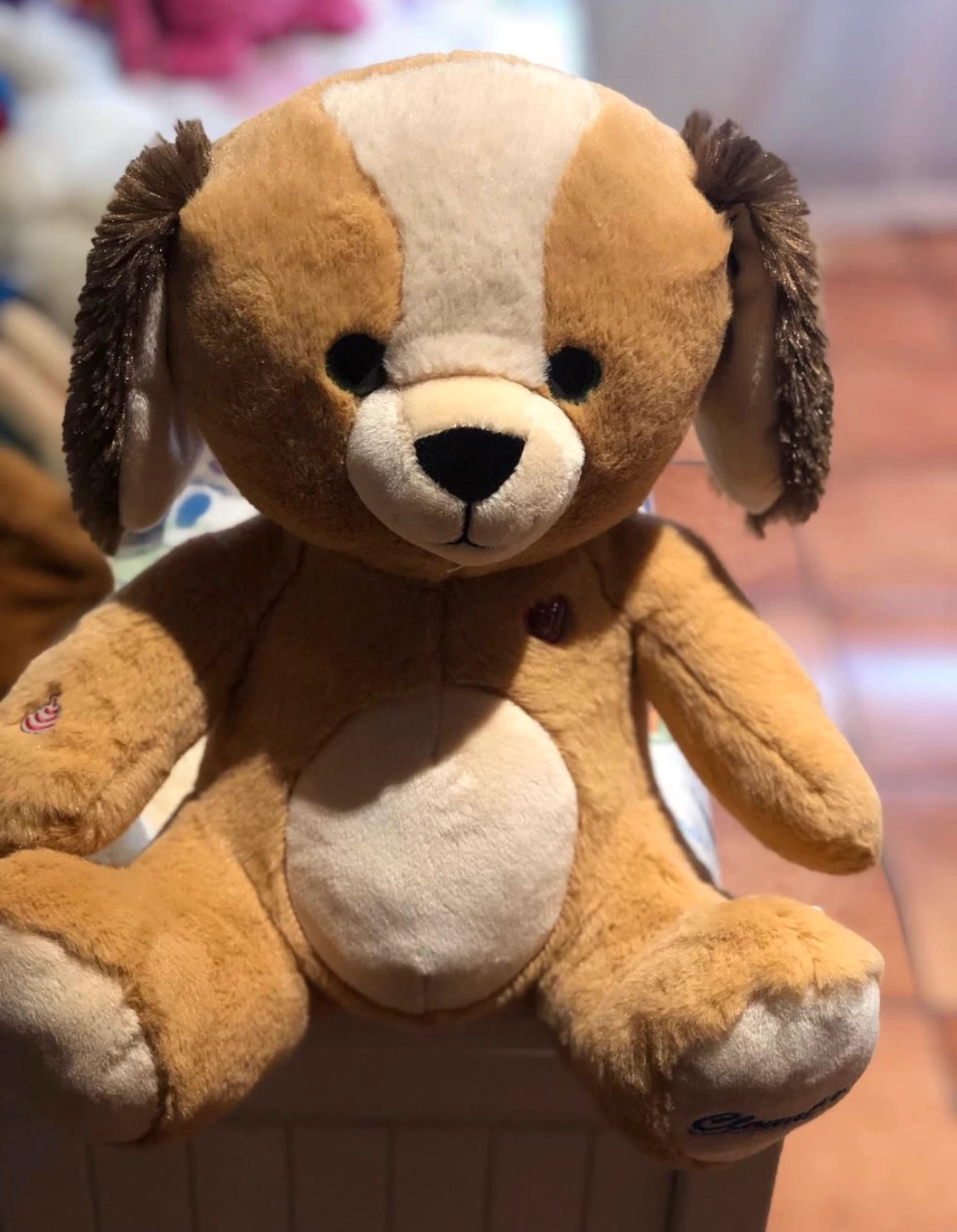 Cloud best sale pets bear