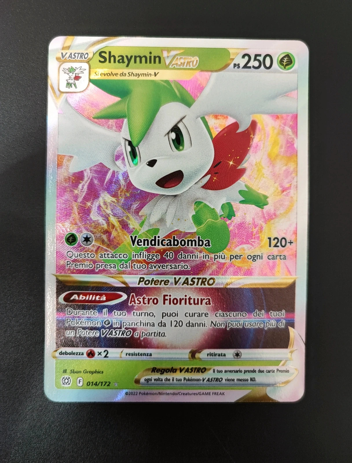 Pokemon Gran Festa Elite Trainer Box - Italian