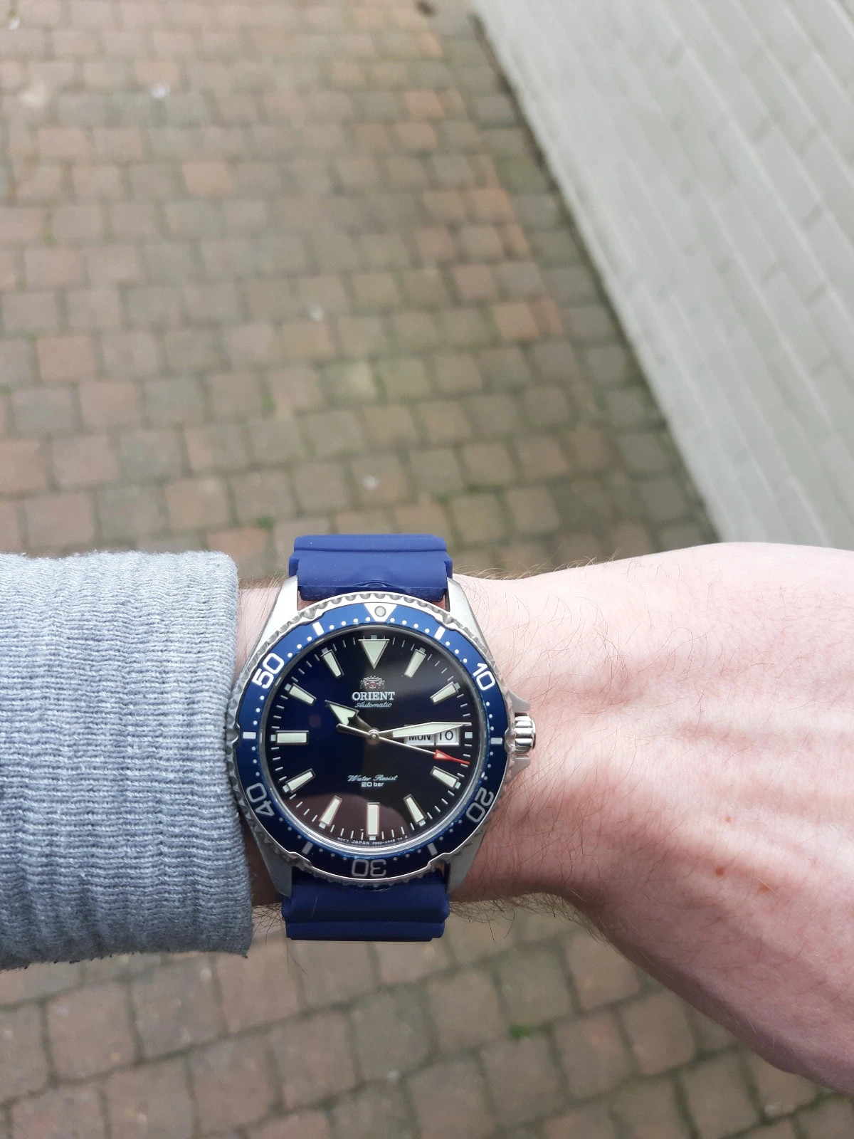 Orient 2025 kamasu blue