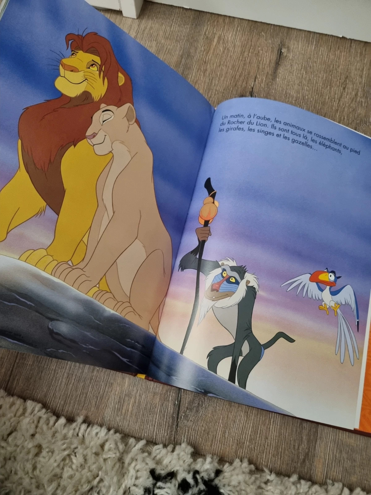 Le Roi Lion - Disney: 9782230004201 - AbeBooks