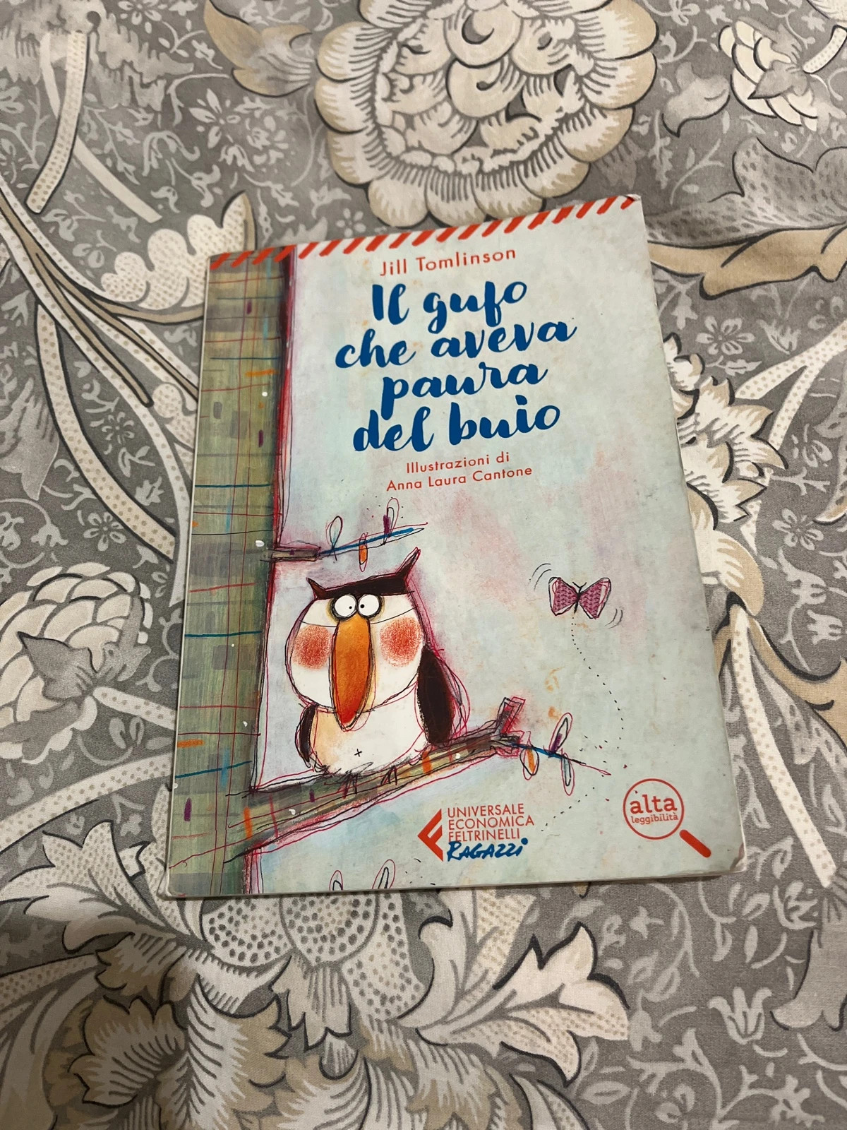 Libro Il gufo che aveva paura del buio 5+