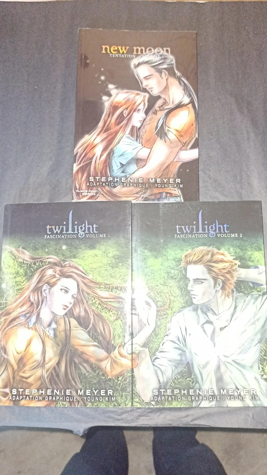 Lot livres Saga twilight