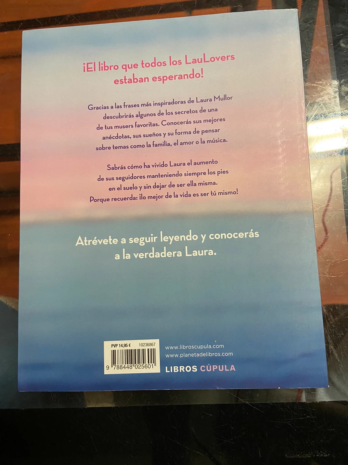 Libro de Laura Mullor | Vinted