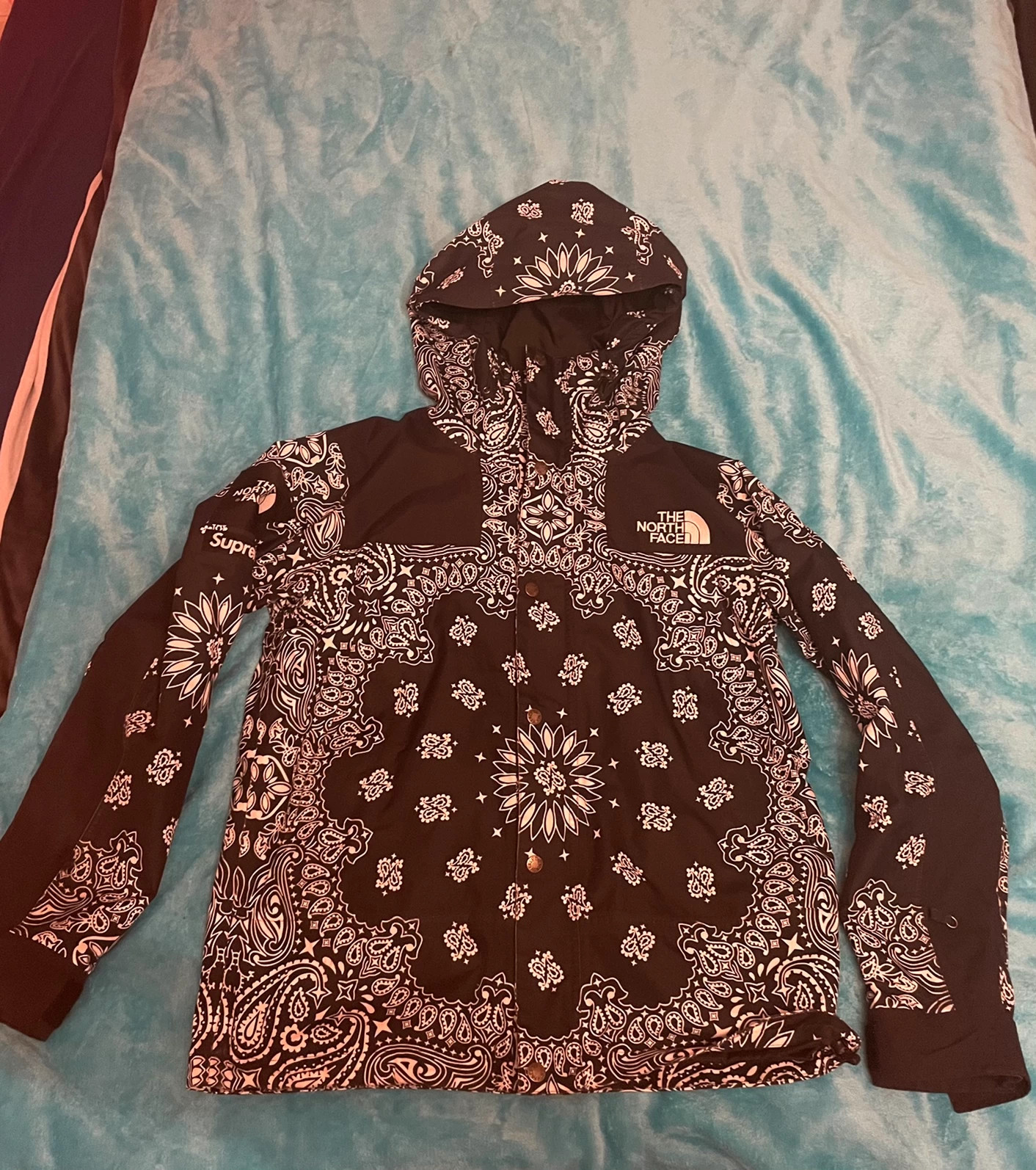 Supreme TNF Bandana Mountain Jacket