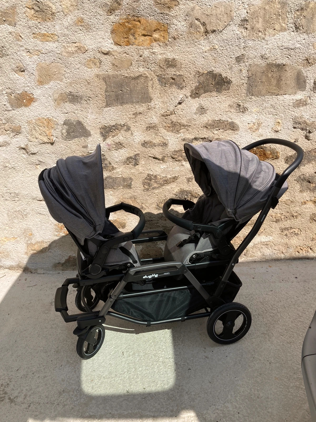 Poussette jumeaux best sale peg perego occasion