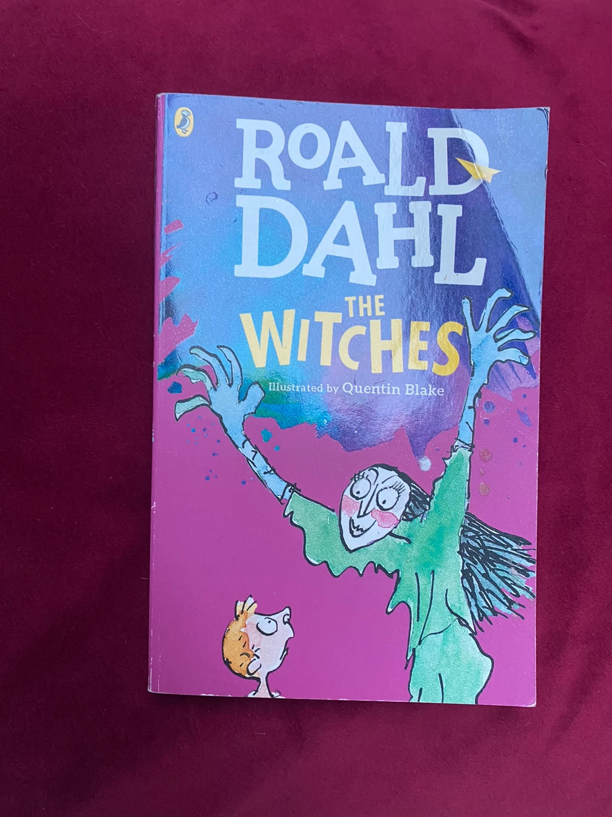 The witches Roald Dahl Book
