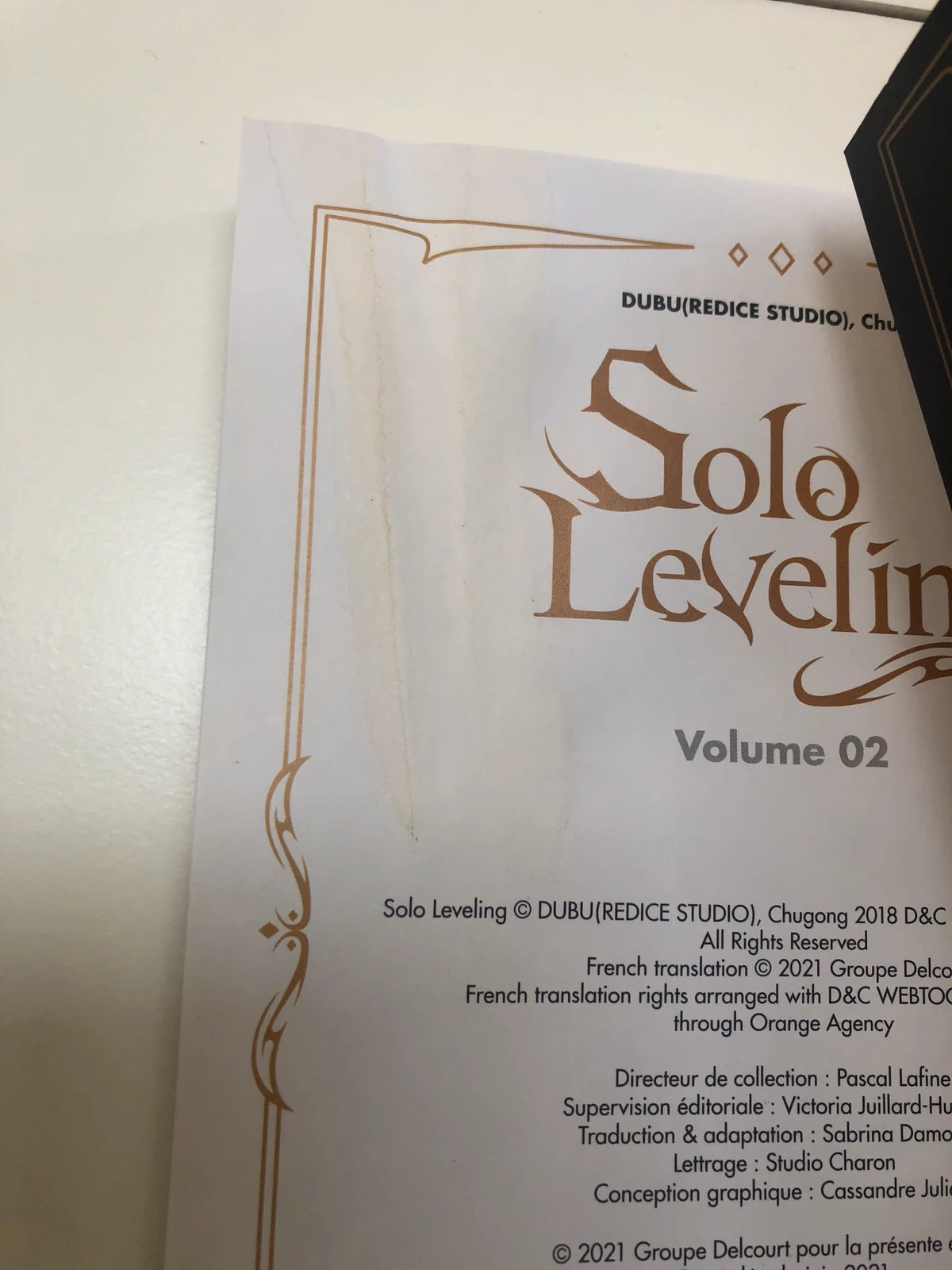 SOLO LEVELING 02 NOVELA - Idioma Español