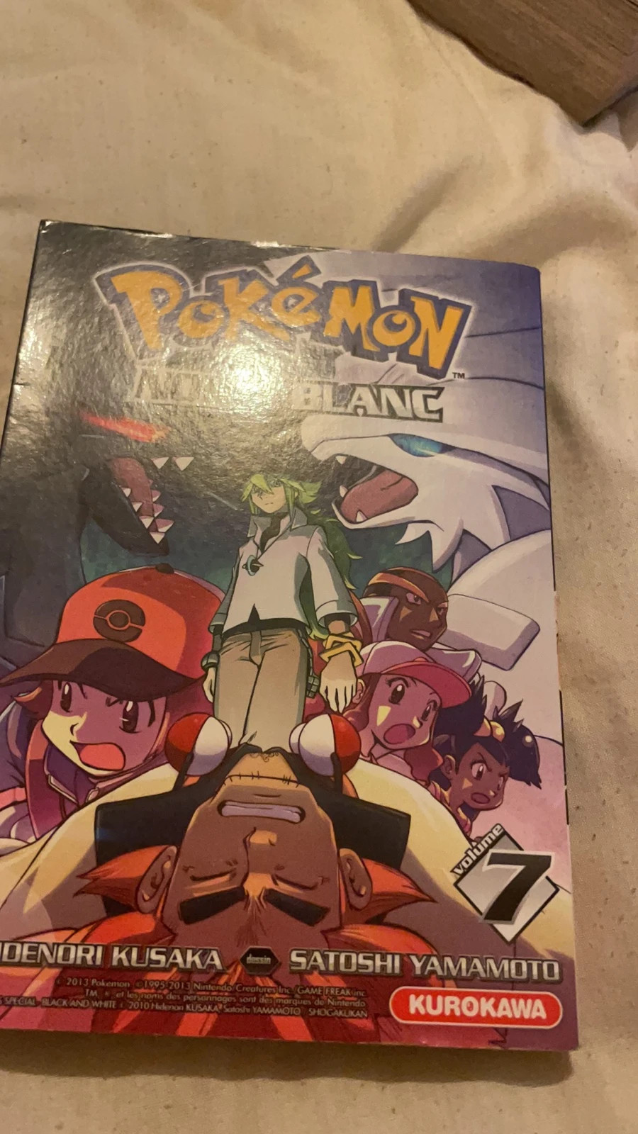 Manga pokemon noir et blanc Vinted