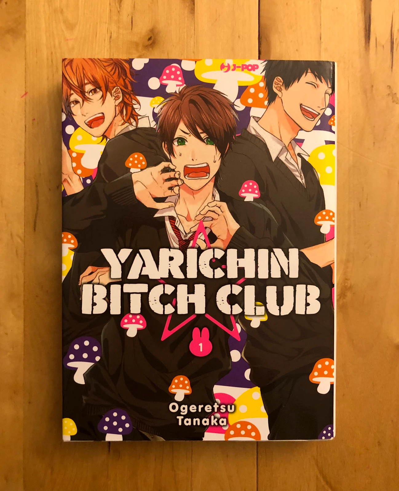 Manga Yarichin Bi*ch Club | Vinted