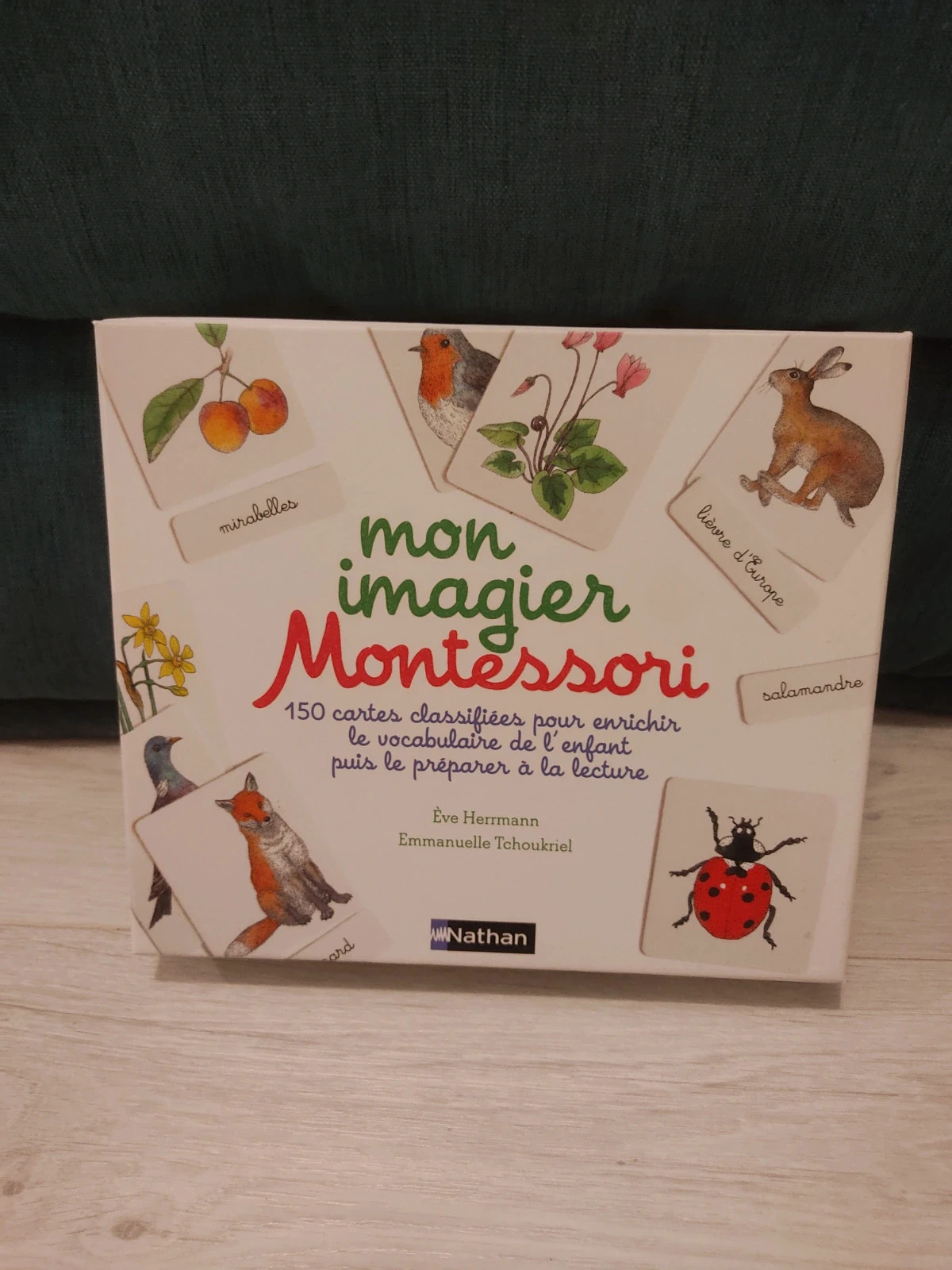 Mon imagier Montessori - 150 cartes classifiées pour enrichir le  vocabulaire de l'enfant puis le préparer à la lecture