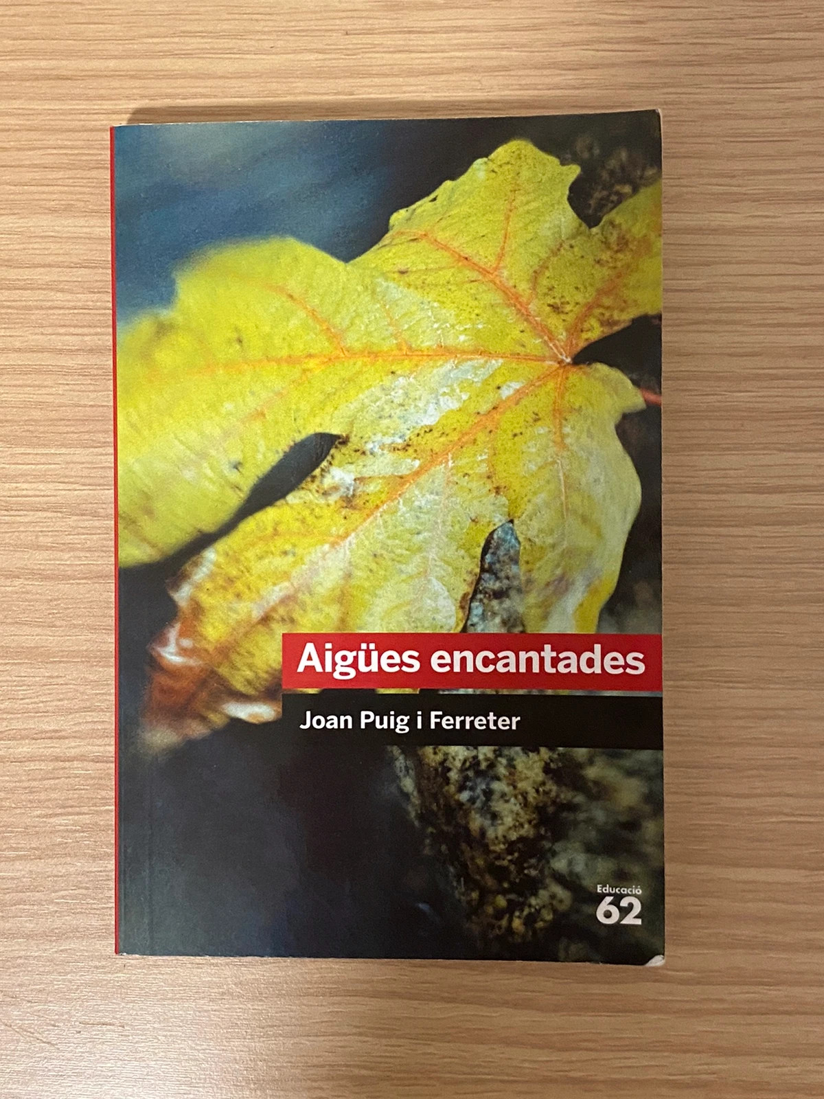 Libro “Aigües encantades” de Joan Puig i Ferreter (catalán)