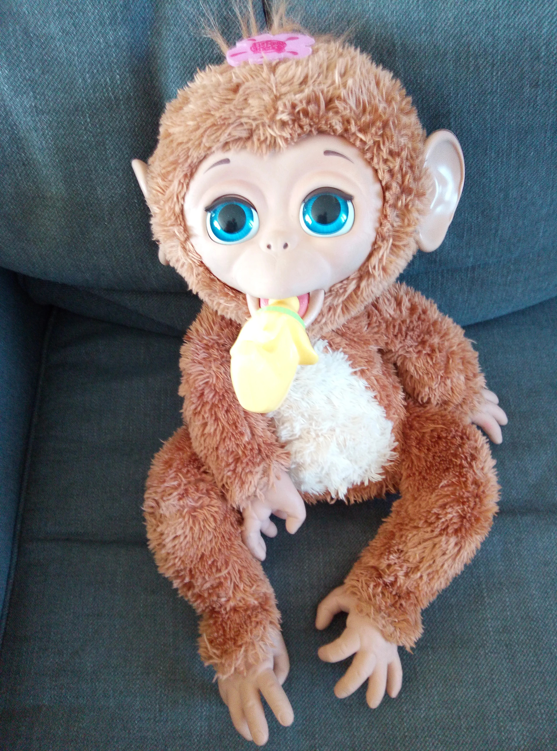 Le singe Fur Real - Testinaute@Home, On avait dit plus de bébé à la maison  mais on a craqué #furrealfriends #singe #monkey #jouet #commeunbébé, By  Testinaute